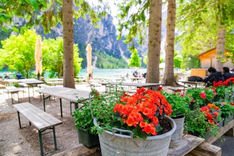 A cosy garden area with tables, chairs and bright red flowers under tall trees, Lake Braies, South