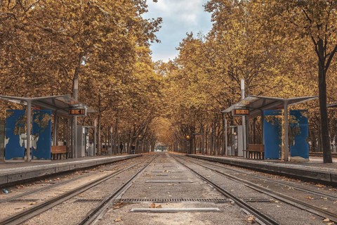 Empty tramway tracks in bordeaux city center during the fall season, with colorful trees lining the