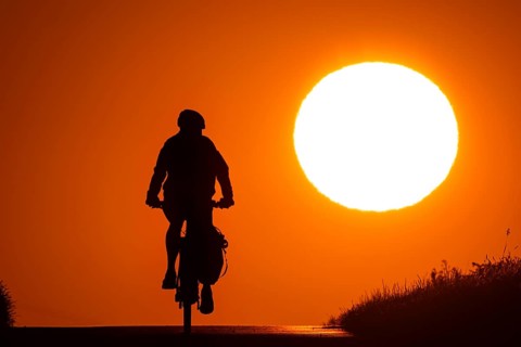 A bicycle rides at sunrise on a country lane near Frankfurt am Main, Frankfurt am Main, Hesse,