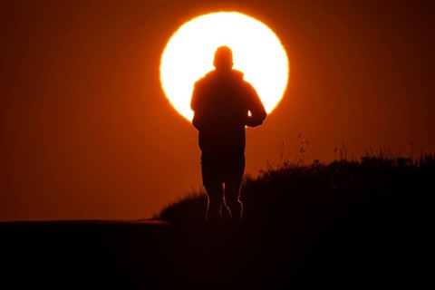 A jogger runs at sunrise on a country lane near Frankfurt am Main, Frankfurt am Main, Hesse,