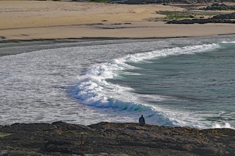 Rocky coast with crashing waves and lonely viewer under cloudy sky, Castlebay, Isle of Barra,