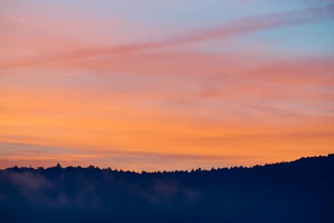 Silhouette of a forest at sunrise with orange-pink sky, Miltenberg, district Miltenberg, Spessart,