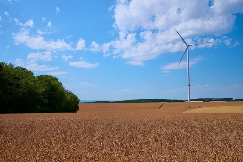 Single wind turbine next to a spelt wheat field and forest under a blue sky, summer, Retzstadt,