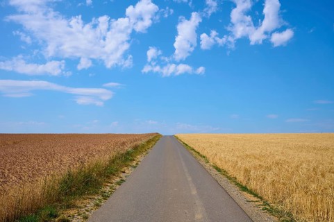 Straight path between golden and brown grain fields under a clear summer sky, summer, Retzstadt,