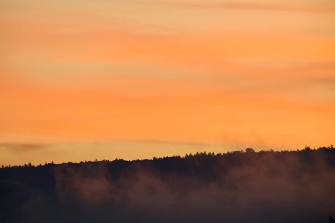 Foggy forest silhouette under an orange sunrise sky, Miltenberg, Miltenberg district, Spessart,