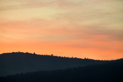 Forest silhouette under a pink sunrise sky with soft shadows, Miltenberg, Miltenberg district,
