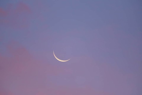 Narrow crescent moon in the blue and pink morning sky, Miltenberg, Miltenberg district, Spessart,
