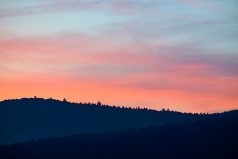 Blue-pink sky over hills at sunrise, silhouette of trees, Miltenberg, district Miltenberg,