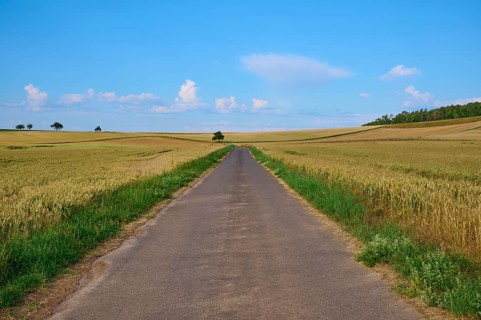 Long road through rolling fields under a blue sky with clouds in the background, summer, Höhefeld,