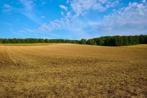 Empty, ploughed field with trees on the horizon under a partly cloudy sky, summer, Höhefeld,