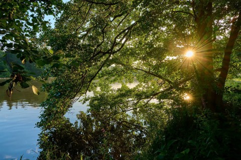 Sunlight breaks through dense treetops and illuminates the banks of the tranquil River Main,