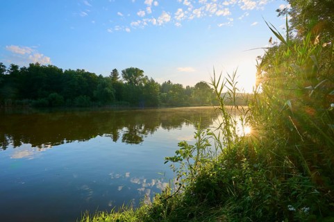 Morning sun shines over the river Main and green riverside vegetation, the sky is clear with
