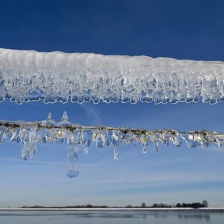 Ice age... Curtain of icicles (Rhine flood) on a pasture fence on Bislicher Insel in winter 2020,