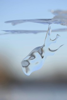 Dive in... Whale (Rhine flood 2020, 2021), naturally grown ice sculpture formed by wind and weather