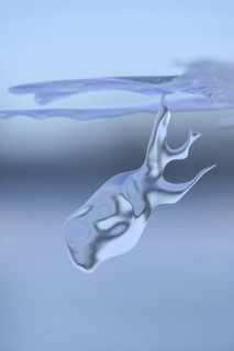 On a dive on the Lower Rhine... Whale (winter flood 2020, 2021), naturally grown ice sculpture
