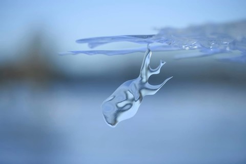 On a dive on the Lower Rhine... Whale (winter flood 2020, 2021), naturally grown ice sculpture