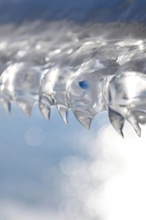 Shark teeth... Ice formations (winter flood 2020, 2021) formed from wind and water on an ice sheet