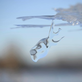 Dive in... Whale (Rhine flood 2020, 2021), naturally grown ice sculpture formed by wind and weather