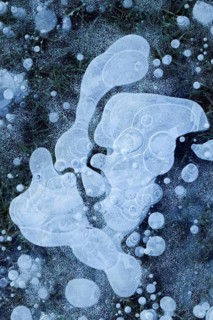 Air bubbles... Ice (winter flood 2020, 2021), ice layer with frozen air bubbles on a meadow on the