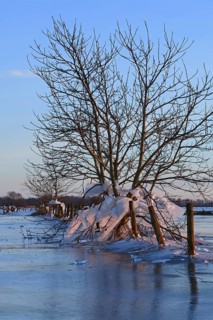 Landfall, ice age on Bislicher Insel... Winter mood (Lower Rhine), after the flood came severe