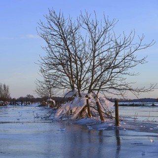 Landfall, ice age on Bislicher Insel... Winter mood (Lower Rhine), after the flood came severe