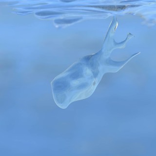 Whale watching on the Lower Rhine... Whale (winter 2020, 2021), naturally grown ice sculpture