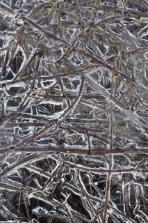 Structures in the ice... Ice formations (winter flood 2020, 2021), alluvial material frozen in the