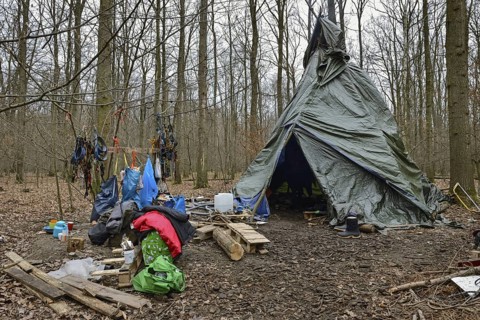 Protest camp against deforestation... Hambach Forest became a nationally recognised symbol of