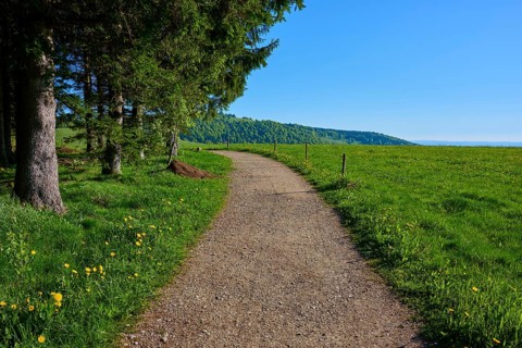 Straight hiking trail through green pastureland with trees on the side, clear sky, spring,