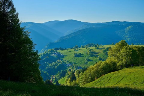 A sunny valley with Feldberg and lush green and clear sky, spring, Schauinsland, Freiburg im