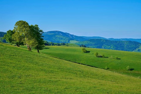 Hilly landscape with green meadows and mountains in the background, spring, Schauinsland, Freiburg