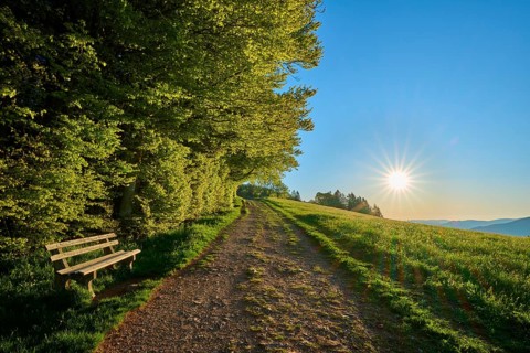 A quiet path with a bench leads through a green landscape under a clear sky, spring, Schauinsland,