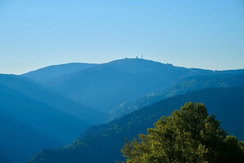 Feldberg in the background with trees in the foreground in the morning light, spring, Feldberg,