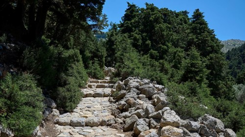 A stony path through a dense green forest under a blue sky, Abandoned Village, Lost Place, Pyli,