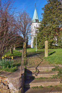 Evangelical Lutheran Church Hille, daffodil (Narcissus pseudonarcissus), wall, stairs, bare winter