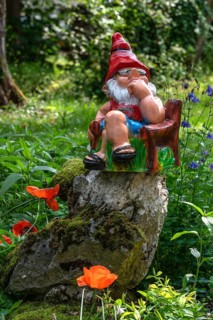 Sitting garden gnome in a garden, Bavaria, Germany