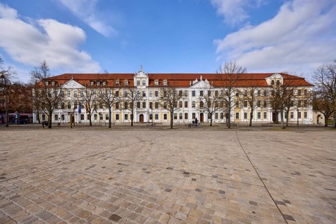 State parliament, historical building, baroque architectural style, bare wintry trees, diffuse