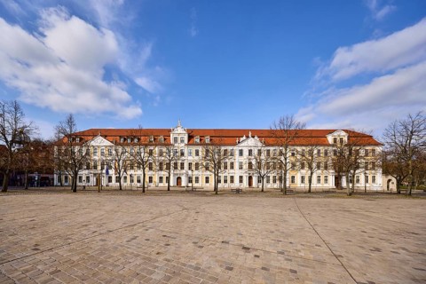 State parliament, historic houses, baroque architectural style, row of houses, bare wintry trees,
