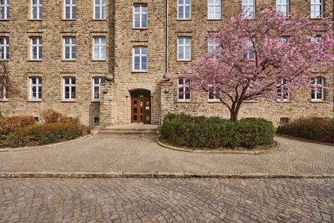 Tax office, sandstone building, flowering tree, Japanese flowering cherry (Prunus serrulata),