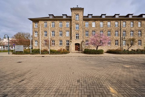 Tax office, sandstone building, Japanese flowering cherry (Prunus serrulata), flowering tree,