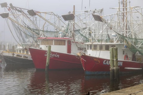 Commercial shrimp boats at the dock in the commercial area of the Biloxi Small Craft Harbor in