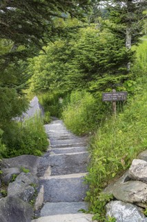 Entrance to Forney Ridge Trail, Forney Creek Trail and Andrews Bald Trail from Clingman's Dome in