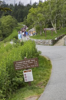 Park guests walking to Clingman's Dome tower and park store in the Smoky Mountains National Park