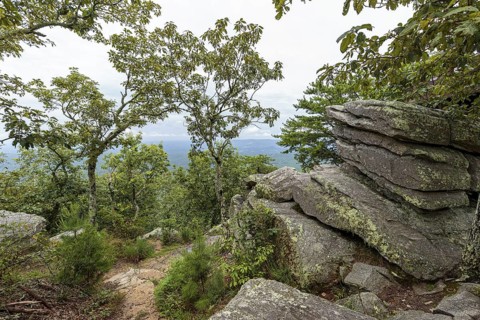 Overlook along the Bald Rock Trail in Cheaha State Park, Alabama, USA
