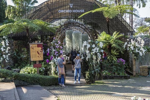 Woman taking selfie photo at the Orchid House at Mae Fah Luang Gardens within the Doi Tung tourist