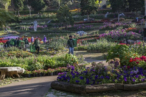 Landscape workers in Mae Fah Luang Gardens within the Doi Tung tourist attraction in Chiang Rai,