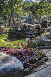 Llama tree at Mae Fah Luang Gardens within the Doi Tung tourist attraction in Chiang Rai, Thailand