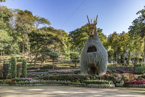 Llama tree at Mae Fah Luang Gardens within the Doi Tung tourist attraction in Chiang Rai, Thailand