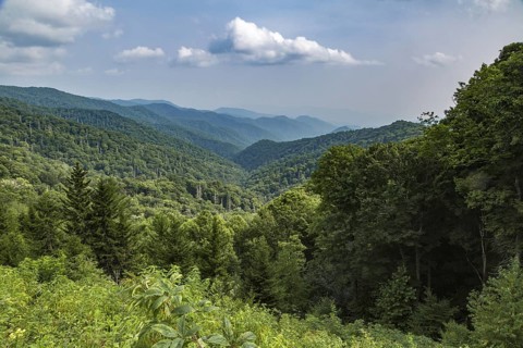 Hazy Blue Ridge Mountains in the distance behind evergreen trees near Clingman's Dome in Tennessee