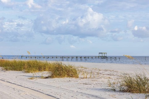 Sea oats and abandoned damaged piers along the man-made sand beach at Pass Christian, Mississippi